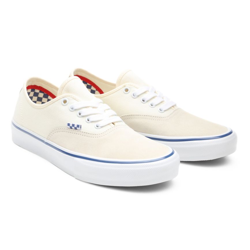 Vans Skate Authentic Blanche | VN698W1PW69